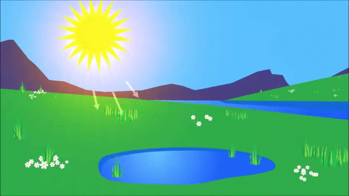 Picture Of The Water Cycle Animated Gallery - How To Guide 