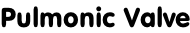 Pulmonic Valve