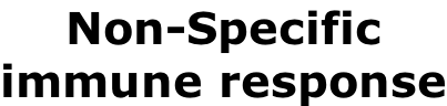 Non-Specific  immune response