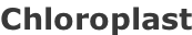 Chloroplast