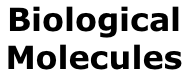 Biological  Molecules