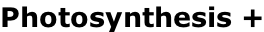 Photosynthesis +