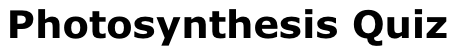 Photosynthesis Quiz