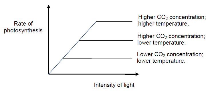 factors of photosynthesis