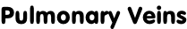 Pulmonary Veins